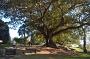 sydney-sep-2013 014